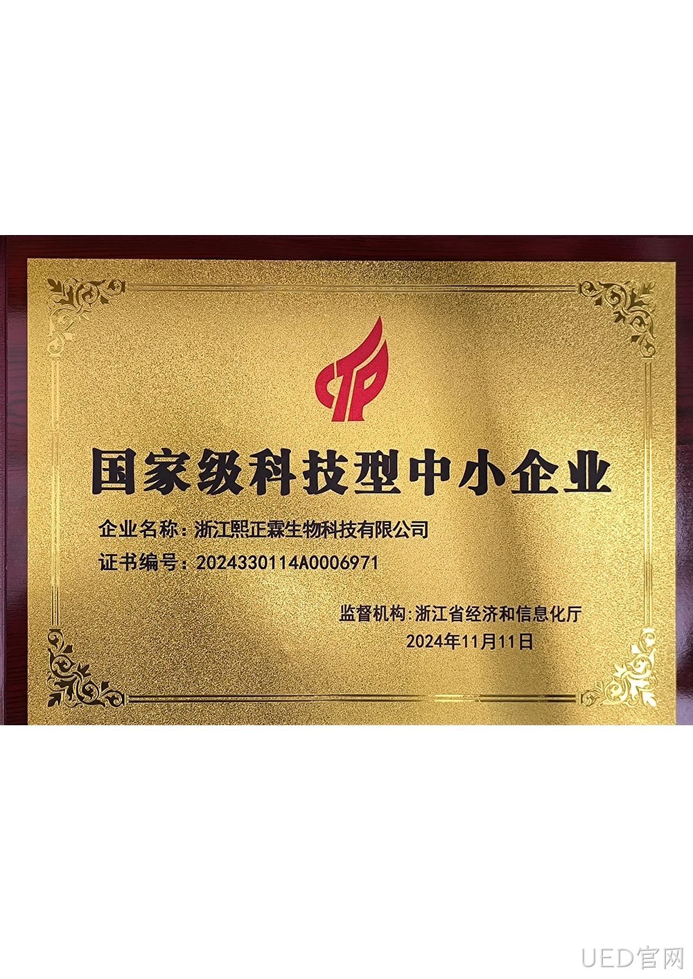 国家级科技型中小企业